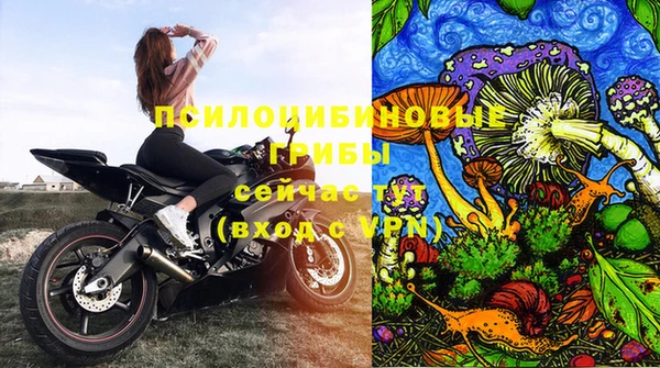 а пвп мука Бородино