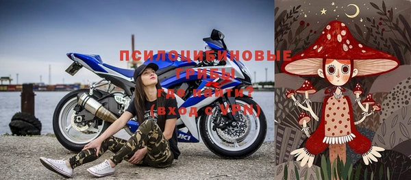 молекула духа Бугульма