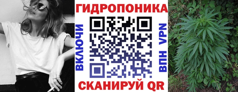 Конопля сатива  как найти закладки  Невельск 